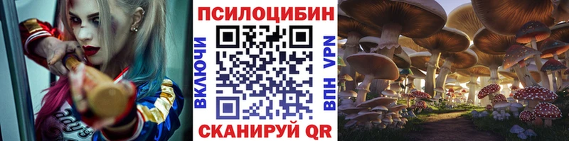 Купить где  Иноземцево  Псилоцибиновые грибы Psilocybe 